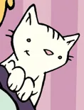 Kitty