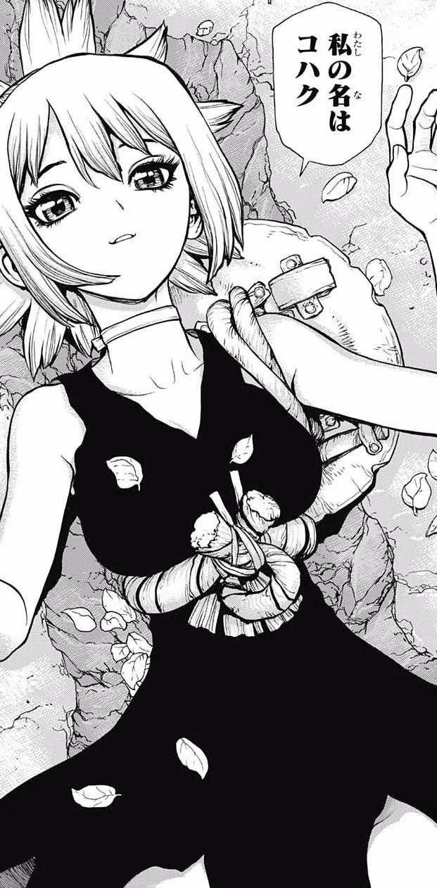 Kohaku