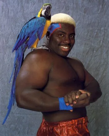 Koko B. Ware