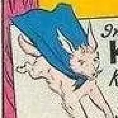 Kolli