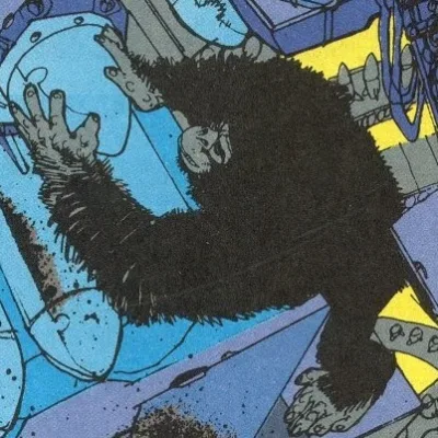 Kong