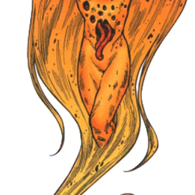 Kthara