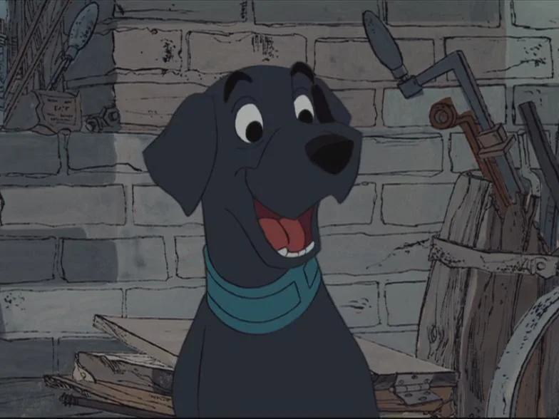 Labrador