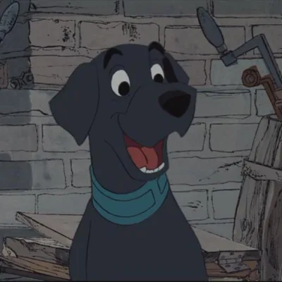 Labrador