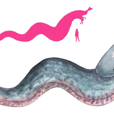 Lagarfljót Worm