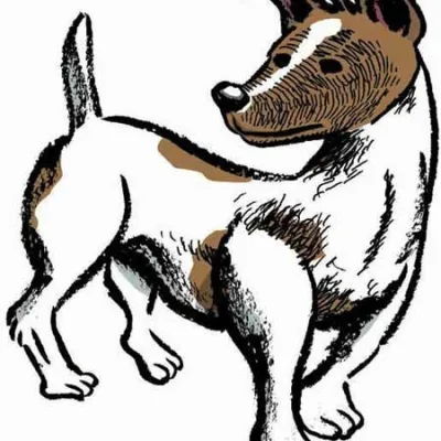 Laika