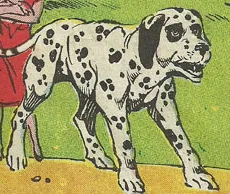 Lastikdog