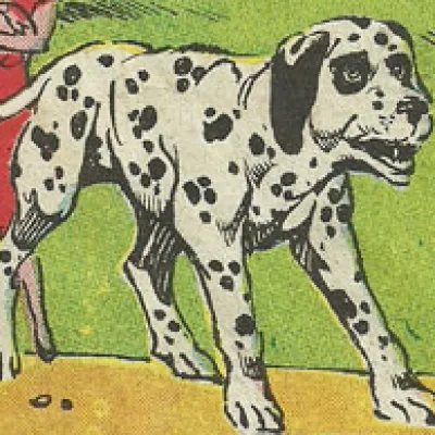 Lastikdog