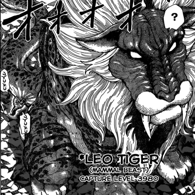 Leo Tiger