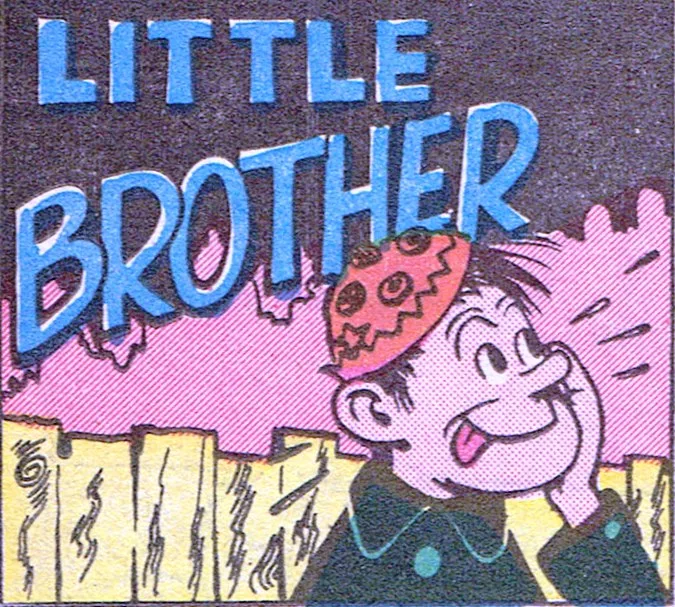 Little Brother
