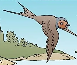 Little Swallow