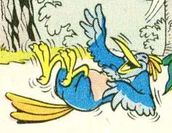 Loonee bird