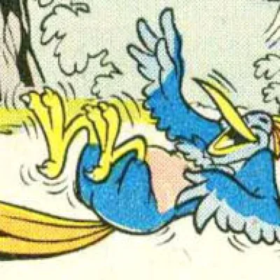 Loonee bird