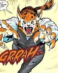 Macho Gato
