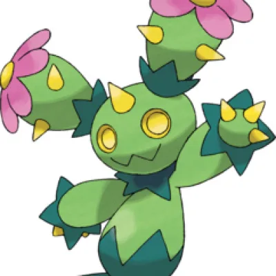 Maractus