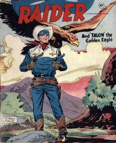 Masked Raider