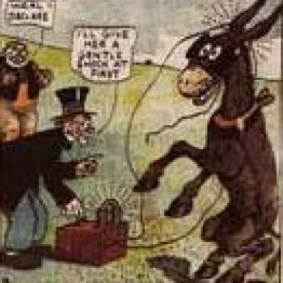 Maud the Mule