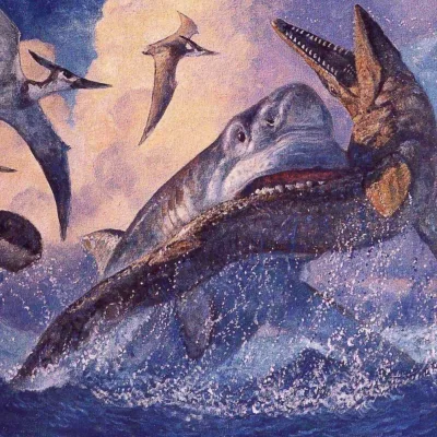 Megalodon