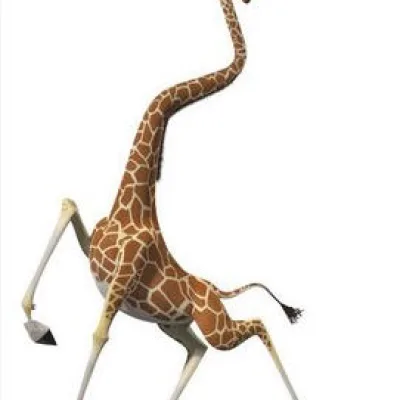 Melman