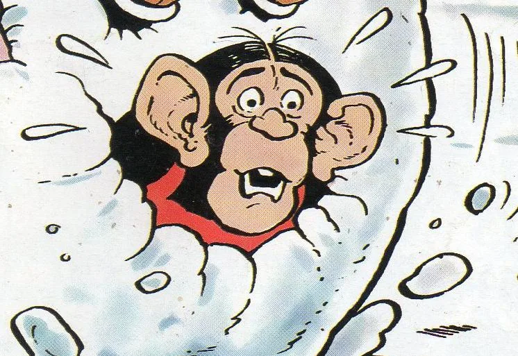 Mickey the Monkey
