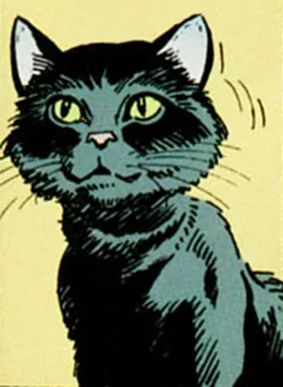 Miss Kitty
