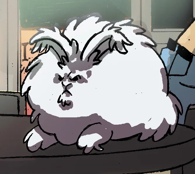 Mister Fluffy