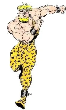 Mister Muscle
