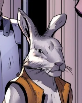 Mister Whiskers