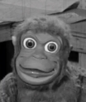 Mitch the Monkey