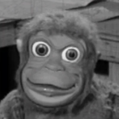 Mitch the Monkey
