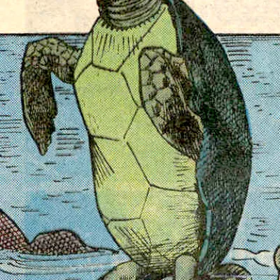 Mock Turtle