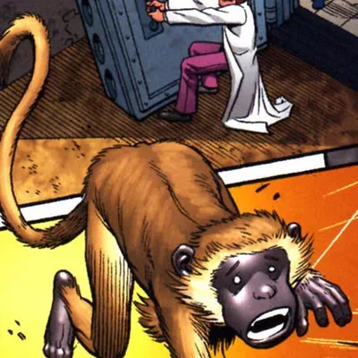 Monkey (Number 92)
