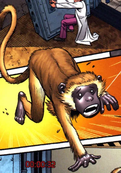 Monkey (Number 92)