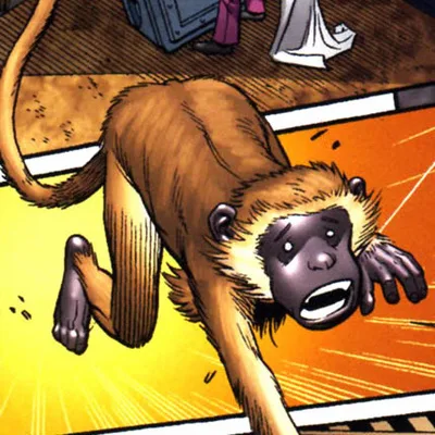 Monkey (Number 92)