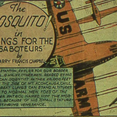 Mosquito