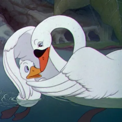 Mother Swan