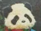 Mr. Bearanda