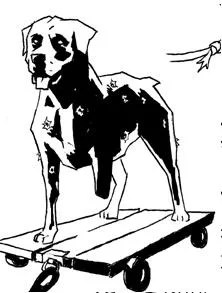 Mr. Dog