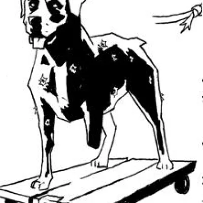 Mr. Dog