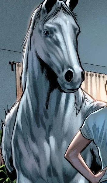 Mr. Horse