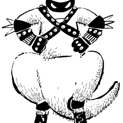 Mr. K.