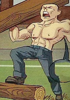 Mr. Log