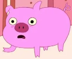 Mr. Pig