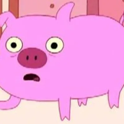 Mr. Pig