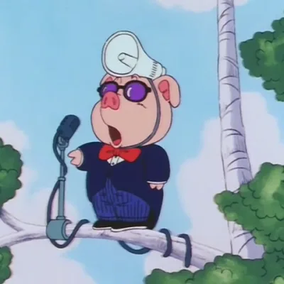 Mr. Pig