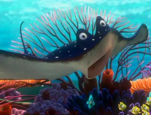 Mr. Ray