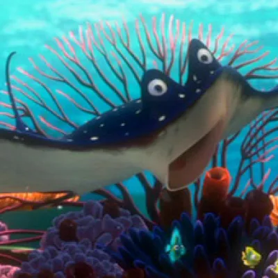 Mr. Ray