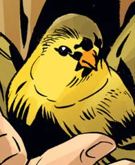 Mrs. Finch