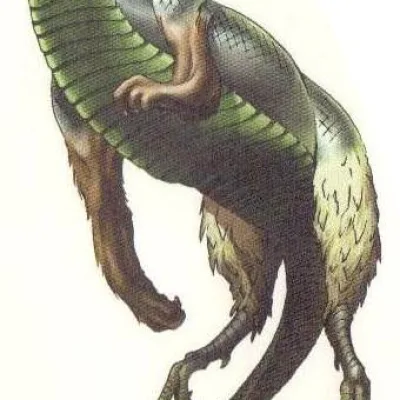 Muŝhuŝŝu