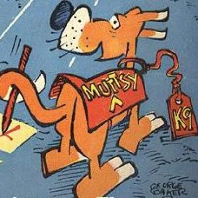 Muttsy